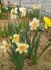 20160408_101321