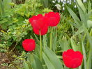 10 apr (8)
