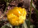 090420162969