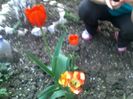 090420162980