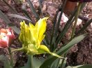 090420162985