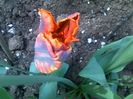 090420162998