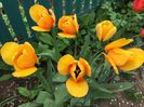 09.04.2016