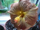 P1250716