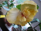 P1250718