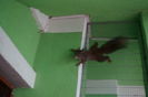 DSC06598
