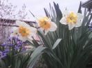 B612_20160409_131252