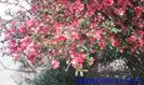 IMG_20160409_125125