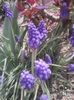 B612_20160409_131537
