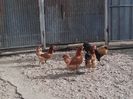 20160406_100736
