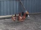 20160406_100749