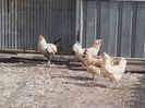 20160406_105009