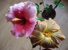 P1250738