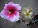 P1250740