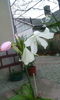 IMG_20160412_193757[1]