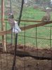 IMG-20160412-WA0024
