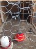 IMG-20160412-WA0022