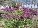 20160413_142558