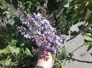 20160413_142635