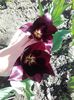 20160413_142905