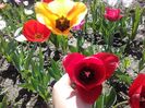 20160413_142934