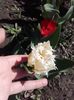 20160413_143108