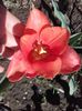 20160413_143206