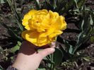 20160413_143329