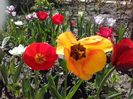 20160413_142917