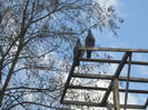 DSCN0233