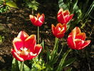 13 apr (71)