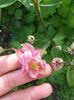 IMG_20160413_173416