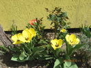 Picture 5789