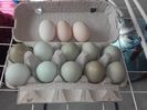 20160404_113713
