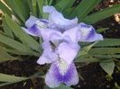IMG_20160413_155254