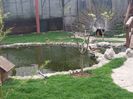 20160414_081030