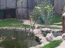 20160414_080935