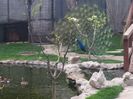 20160414_080934
