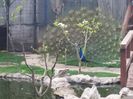 20160414_080910