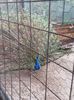 20160414_080223