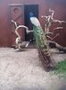 20160414_080217