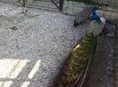 20160412_163247