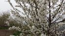 20160408_174210