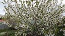 20160412_173145