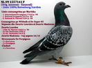 NL 09 1557141 F - Cuplul 20
