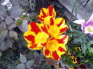 IMG_20160414_095120