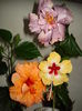 DSC05011