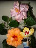DSC05006