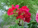 DSC05040