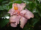 DSC05055